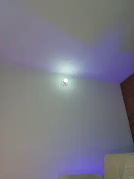 Snapshot of mich_bittersweet chatting on April 2026 11:31:02 PM mich bittersweet online show from April 2026 11:31:02 PM