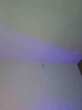 Snapshot of mich_bittersweet chatting on April 2026 11:19:02 PM mich bittersweet online show from April 2026 11:19:02 PM