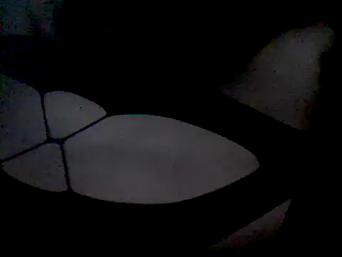 Snapshot of luniaitaliax3 chatting on January 2025 12:13:02 AM luniaitaliax3 online show from January 2025 12:13:02 AM