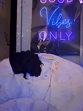 Snapshot of fantasymade69 chatting on November 2025 06:46:01 AM fantasymade69 online show from November 2025 06:46:01 AM