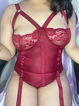 Snapshot of Kriti_02 chatting on January 2025 05:53:01 PM Kriti 02 online show from January 2025 05:53:01 PM