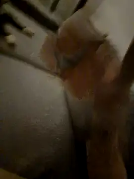 Bretoncool online show from April 2026 08:50:01 PM