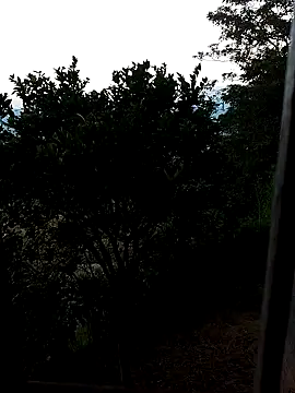 AuroraBon online show from December 2024 11:22:01 AM