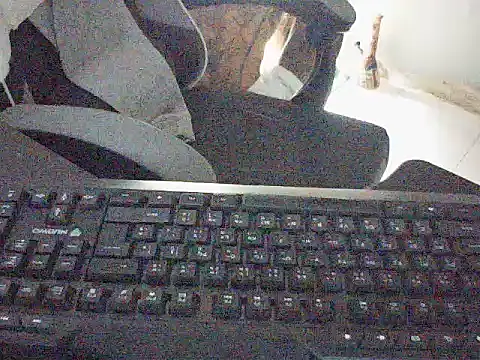 Snapshot of DZ1996 chatting on November 2025 10:32:01 AM DZ1996 online show from November 2025 10:32:01 AM