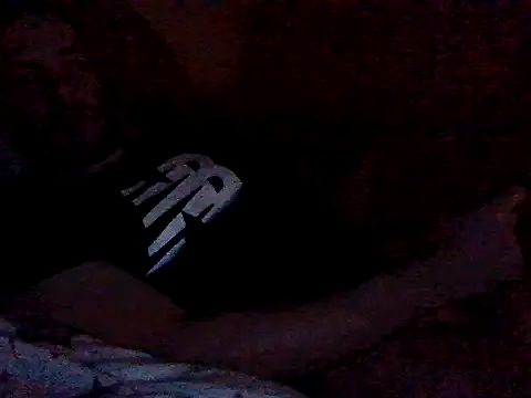 Snapshot of Vicktore007 chatting on October 2025 05:25:01 PM Vicktore007 online show from October 2025 05:25:01 PM