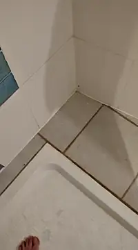 Ariete80s online show from February 2025 03:32:02 PM