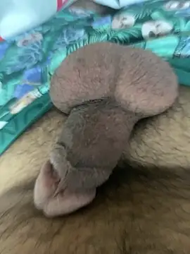 Snapshot of benben190 chatting on January 2025 03:34:01 PM benben190 online show from January 2025 03:34:01 PM