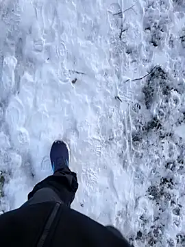 OdinWolf1990 online show from January 2026 08:49:02 AM