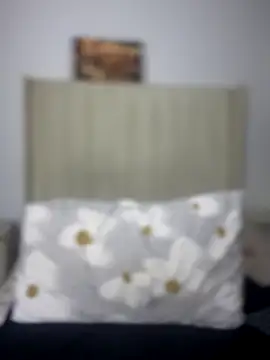 BhadBhad Kitty online show from October 2025 04:21:01 AM