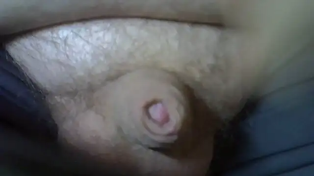 serbes ur online show from November 2025 01:24:01 PM