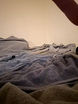 fox--3 online show from February 2026 11:56:01 PM