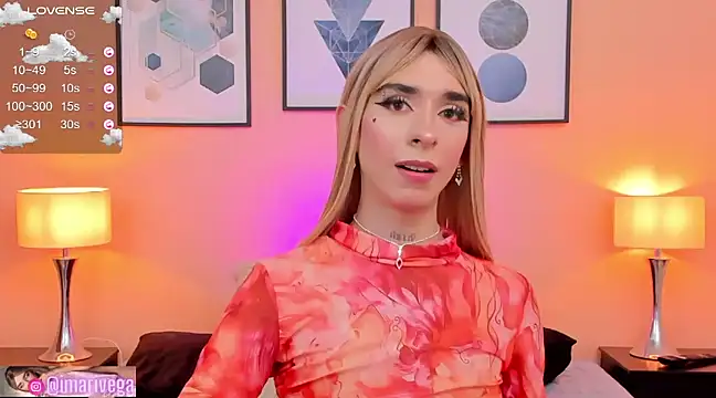 Snapshot of ariivega chatting on December 2024 09:06:02 AM ariivega online show from December 2024 09:06:02 AM