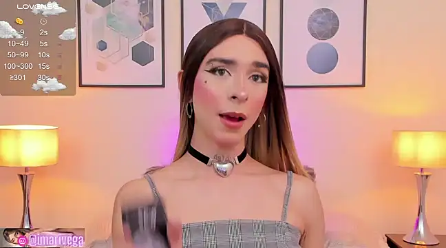 Snapshot of ariivega chatting on December 2024 11:39:01 PM ariivega online show from December 2024 11:39:01 PM