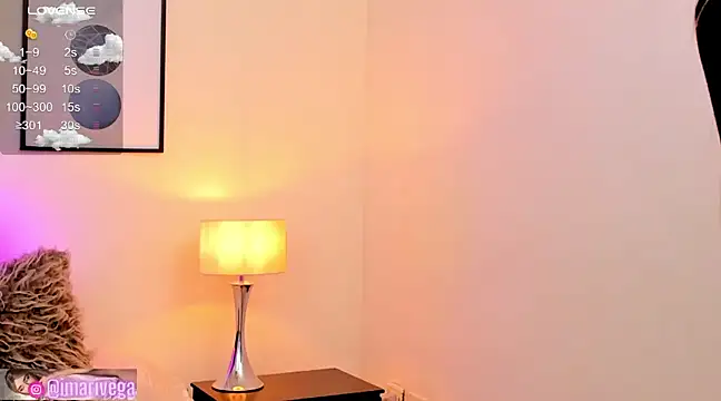 Snapshot of ariivega chatting on December 2024 07:57:01 AM ariivega online show from December 2024 07:57:01 AM