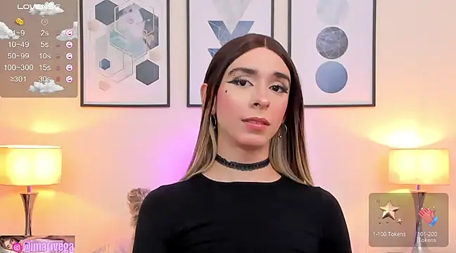 Snapshot of ariivega chatting on December 2024 09:36:02 AM ariivega online show from December 2024 09:36:02 AM