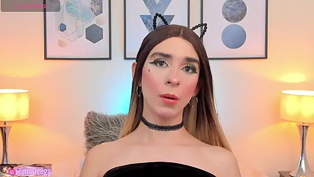 Snapshot of ariivega chatting on December 2024 07:49:02 AM ariivega online show from December 2024 07:49:02 AM