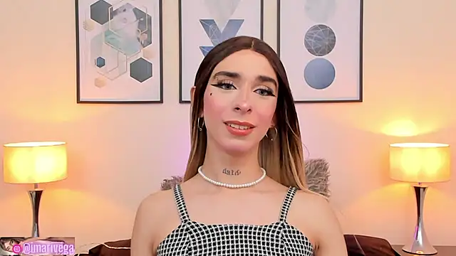 Snapshot of ariivega chatting on January 2025 11:30:01 PM ariivega online show from January 2025 11:30:01 PM