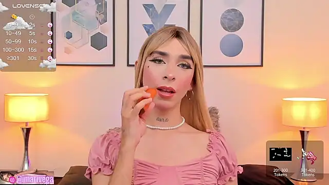 Snapshot of ariivega chatting on January 2025 04:33:02 AM ariivega online show from January 2025 04:33:02 AM