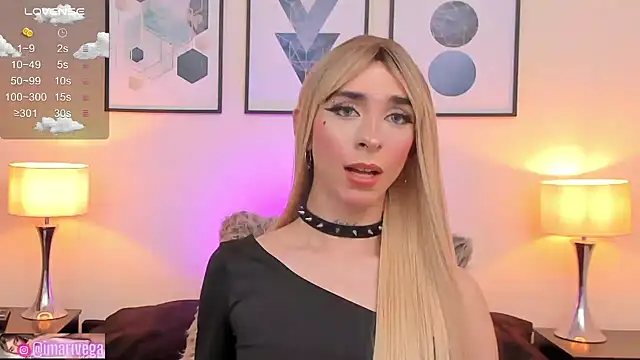 Snapshot of ariivega chatting on January 2025 09:13:01 AM ariivega online show from January 2025 09:13:01 AM