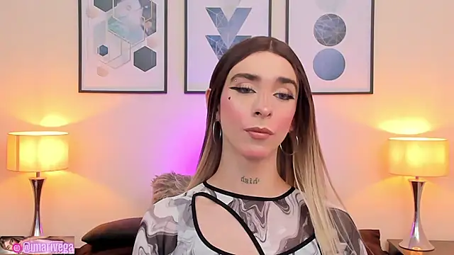 Snapshot of ariivega chatting on January 2025 02:01:01 AM ariivega online show from January 2025 02:01:01 AM