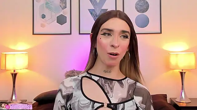 Snapshot of ariivega chatting on January 2025 05:04:02 AM ariivega online show from January 2025 05:04:02 AM