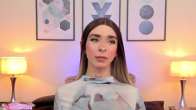 Snapshot of ariivega chatting on January 2025 03:04:02 AM ariivega online show from January 2025 03:04:02 AM