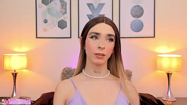 Snapshot of ariivega chatting on January 2025 10:01:01 PM ariivega online show from January 2025 10:01:01 PM