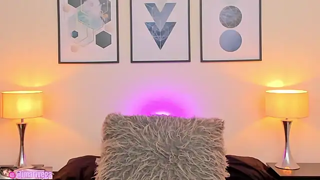 Snapshot of ariivega chatting on January 2025 01:05:02 AM ariivega online show from January 2025 01:05:02 AM