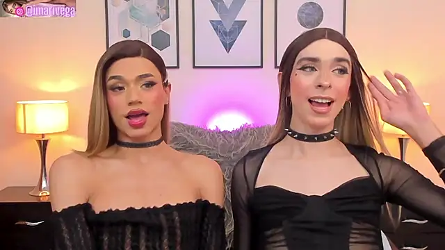 Snapshot of ariivega chatting on February 2025 01:23:01 AM ariivega online show from February 2025 01:23:01 AM