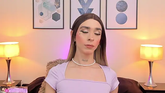 Snapshot of ariivega chatting on February 2025 12:33:01 AM ariivega online show from February 2025 12:33:01 AM