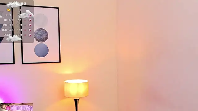 Snapshot of ariivega chatting on February 2025 06:40:01 AM ariivega online show from February 2025 06:40:01 AM