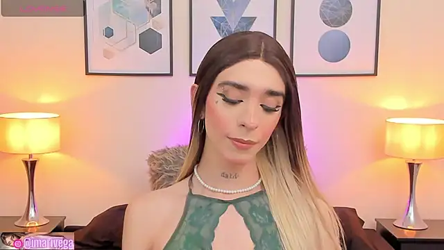 Snapshot of ariivega chatting on February 2025 01:36:01 AM ariivega online show from February 2025 01:36:01 AM