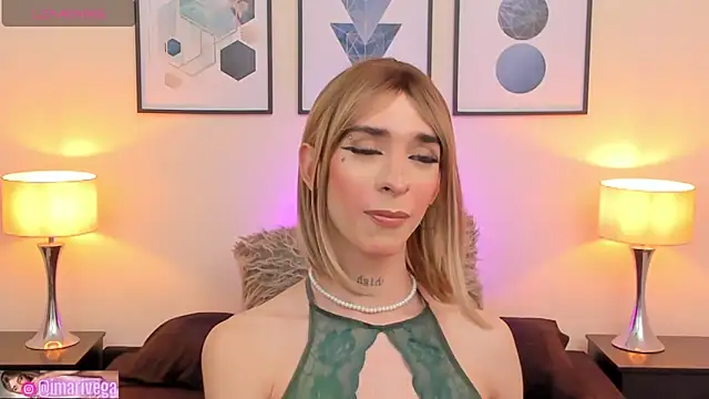 Snapshot of ariivega chatting on February 2025 04:48:01 AM ariivega online show from February 2025 04:48:01 AM