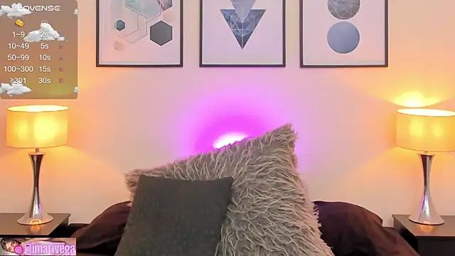 Snapshot of ariivega chatting on February 2025 06:20:01 AM ariivega online show from February 2025 06:20:01 AM