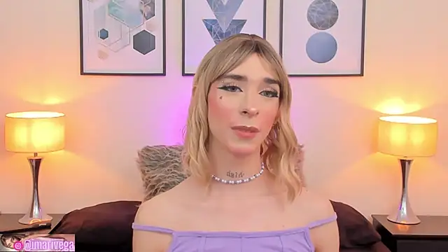 Snapshot of ariivega chatting on February 2025 11:34:01 PM ariivega online show from February 2025 11:34:01 PM