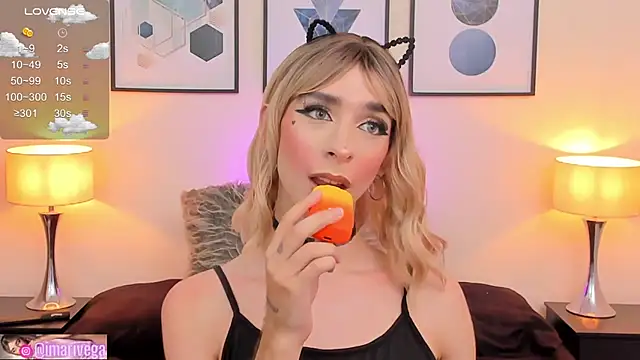 Snapshot of ariivega chatting on February 2025 01:30:02 AM ariivega online show from February 2025 01:30:02 AM