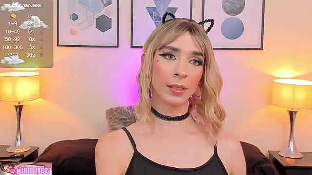 Snapshot of ariivega chatting on February 2025 04:33:02 AM ariivega online show from February 2025 04:33:02 AM