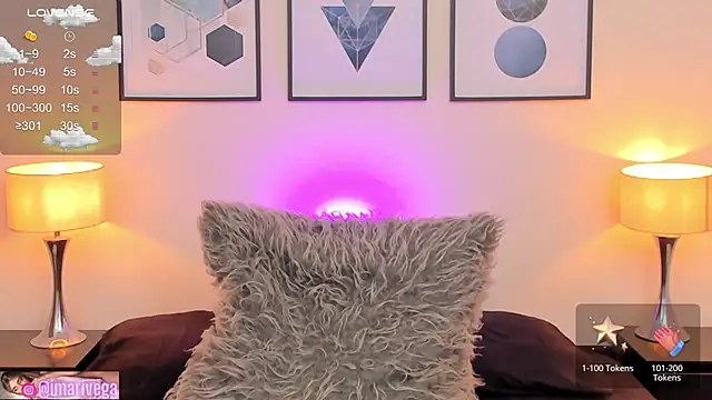 Snapshot of ariivega chatting on February 2025 01:13:01 AM ariivega online show from February 2025 01:13:01 AM