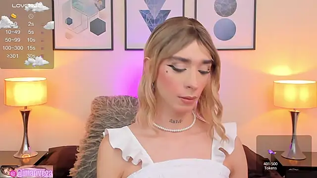 Snapshot of ariivega chatting on February 2025 10:03:01 PM ariivega online show from February 2025 10:03:01 PM