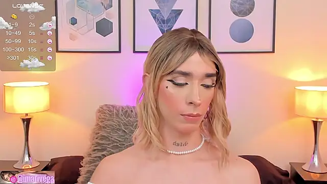 Snapshot of ariivega chatting on February 2025 04:15:01 AM ariivega online show from February 2025 04:15:01 AM