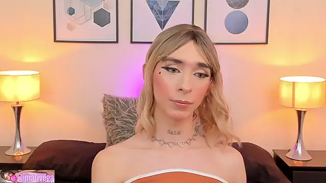 Snapshot of ariivega chatting on February 2025 05:19:02 AM ariivega online show from February 2025 05:19:02 AM