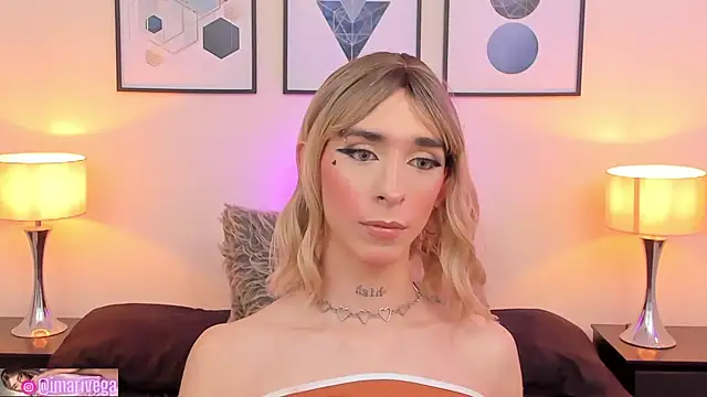 Snapshot of ariivega chatting on February 2025 08:25:02 AM ariivega online show from February 2025 08:25:02 AM