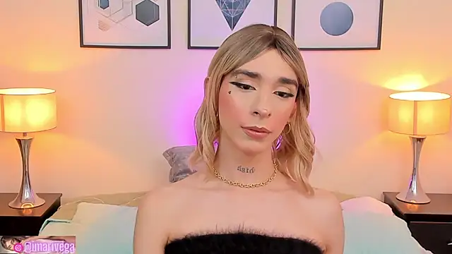 Snapshot of ariivega chatting on February 2025 02:53:01 AM ariivega online show from February 2025 02:53:01 AM