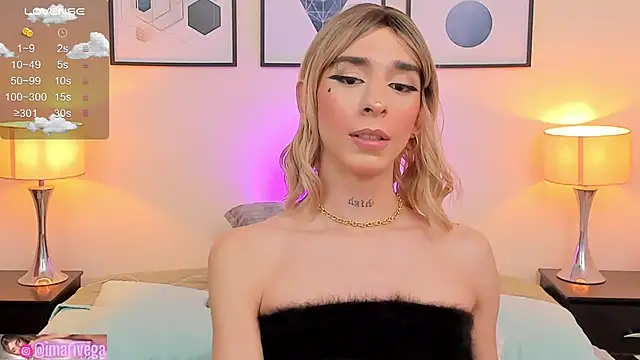 Snapshot of ariivega chatting on February 2025 10:37:02 AM ariivega online show from February 2025 10:37:02 AM