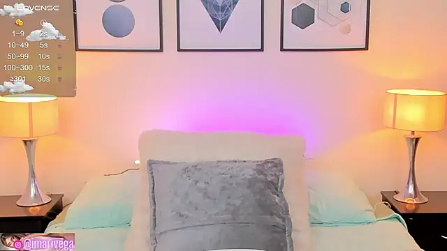 Snapshot of ariivega chatting on March 2025 10:42:01 PM ariivega online show from March 2025 10:42:01 PM