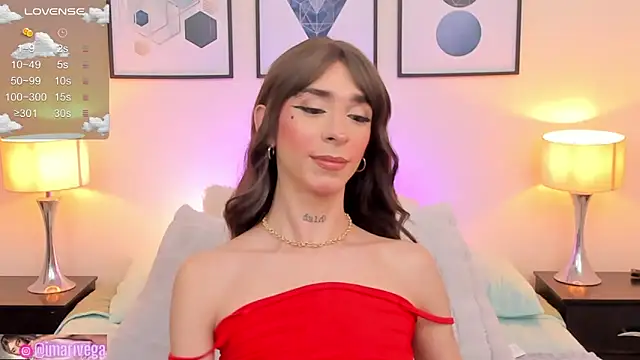 Snapshot of ariivega chatting on March 2025 10:58:01 PM ariivega online show from March 2025 10:58:01 PM