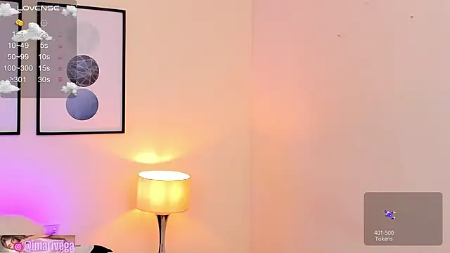 Snapshot of ariivega chatting on March 2025 02:20:01 AM ariivega online show from March 2025 02:20:01 AM