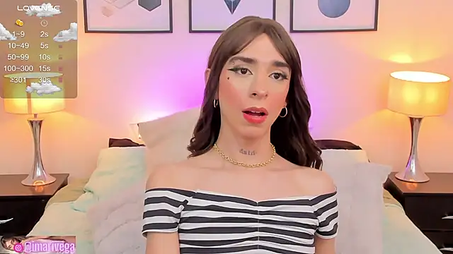 Snapshot of ariivega chatting on March 2025 06:29:01 AM ariivega online show from March 2025 06:29:01 AM