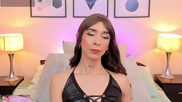 Snapshot of ariivega chatting on March 2025 03:11:01 AM ariivega online show from March 2025 03:11:01 AM