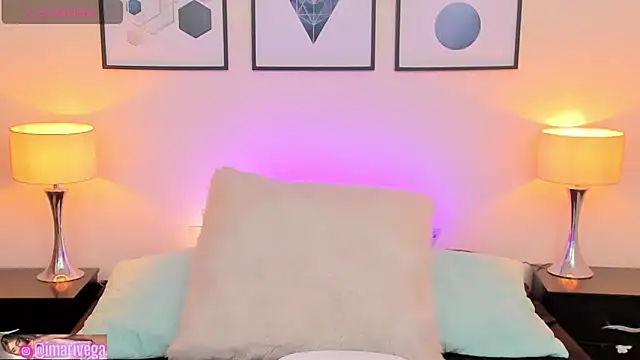 Snapshot of ariivega chatting on March 2025 05:52:01 AM ariivega online show from March 2025 05:52:01 AM